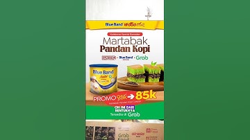 NEW! MARTABAK PANDAN KOPI DARI MARTABAK PECENONGAN 78 #shorts #shortsvideo #shortsyoutube