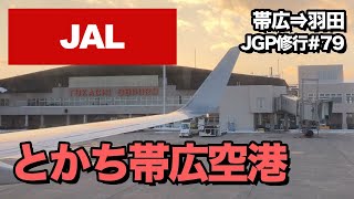 帯広 から 新 千歳 空港 車