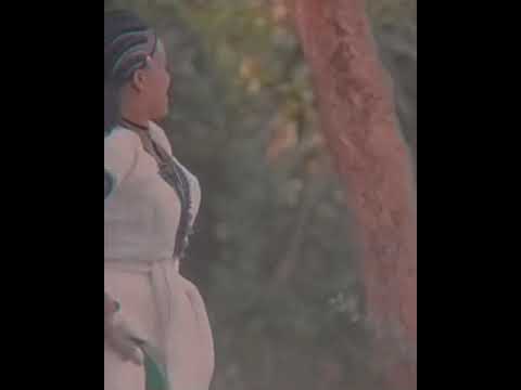 Gonder Ethiopian Amhara Eskista
