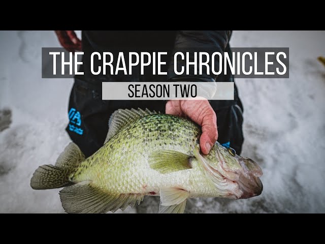 The Second MEGALODON - The Crappie Chronicles (Presented by Thorne Bros)  [S2:E7] 