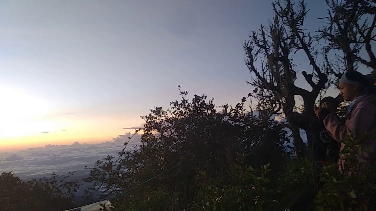 Pemandangan di puncak gunung Cikuray garut - YouTube