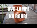 Koiteichblog 25  rota 48w tauch uvc im kg rohr