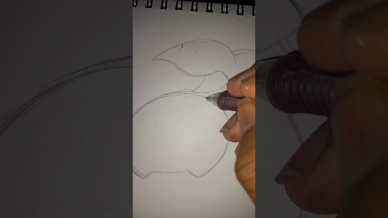 Art Style Chronicles! Pokemon Cherubi