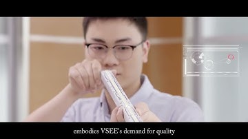 Vsee Compnay introduction color sorter paddy dryer fruit sorting line