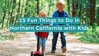 Fun Things To Do In Northern California