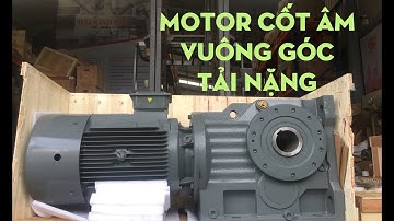 Motor Giảm Tốc Cốt Âm Vuông Góc KA127 | K Series | Đại Kinh Bắc