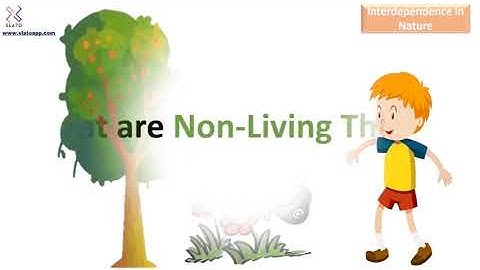 Interdependence in Nature | Video 1 | Introduction | Class 5 | Science