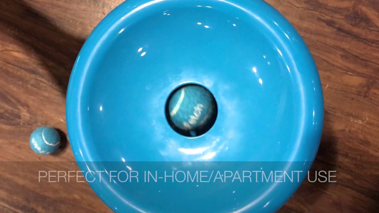 Best Tech Gear of Global Pet Expo 2016