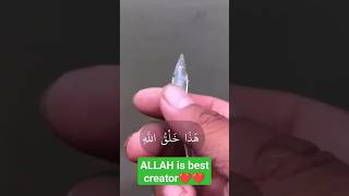 ALLAH is best creator | viral video