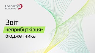 Звіт неприбутківця-бюджетника