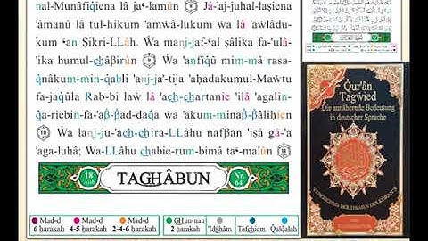 ختمة من مصحف التجويد باللغة الألمانية الصفحة رقم 555