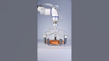 Watch how soft grippers are revolutionizing the food industry