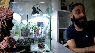 Paludarium waterfall project build continued