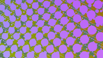 Turn Around in a 3-Sphere - View from the Pole