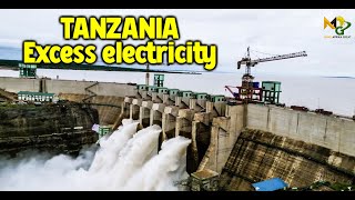 Tanzania has shut down five of its hydropower stations due to excess electricity production.