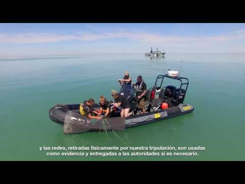 Operation Milagro III: Using Drones to Nab Poachers