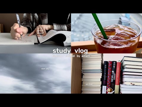 Study Vlog || 4:30 AM / 6-hour study day | A productive holiday for a working SE