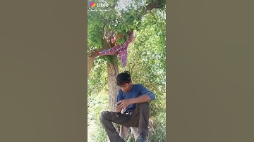 my old likee app comedian vairal video #shorts #whatsappstatus  //fanni status