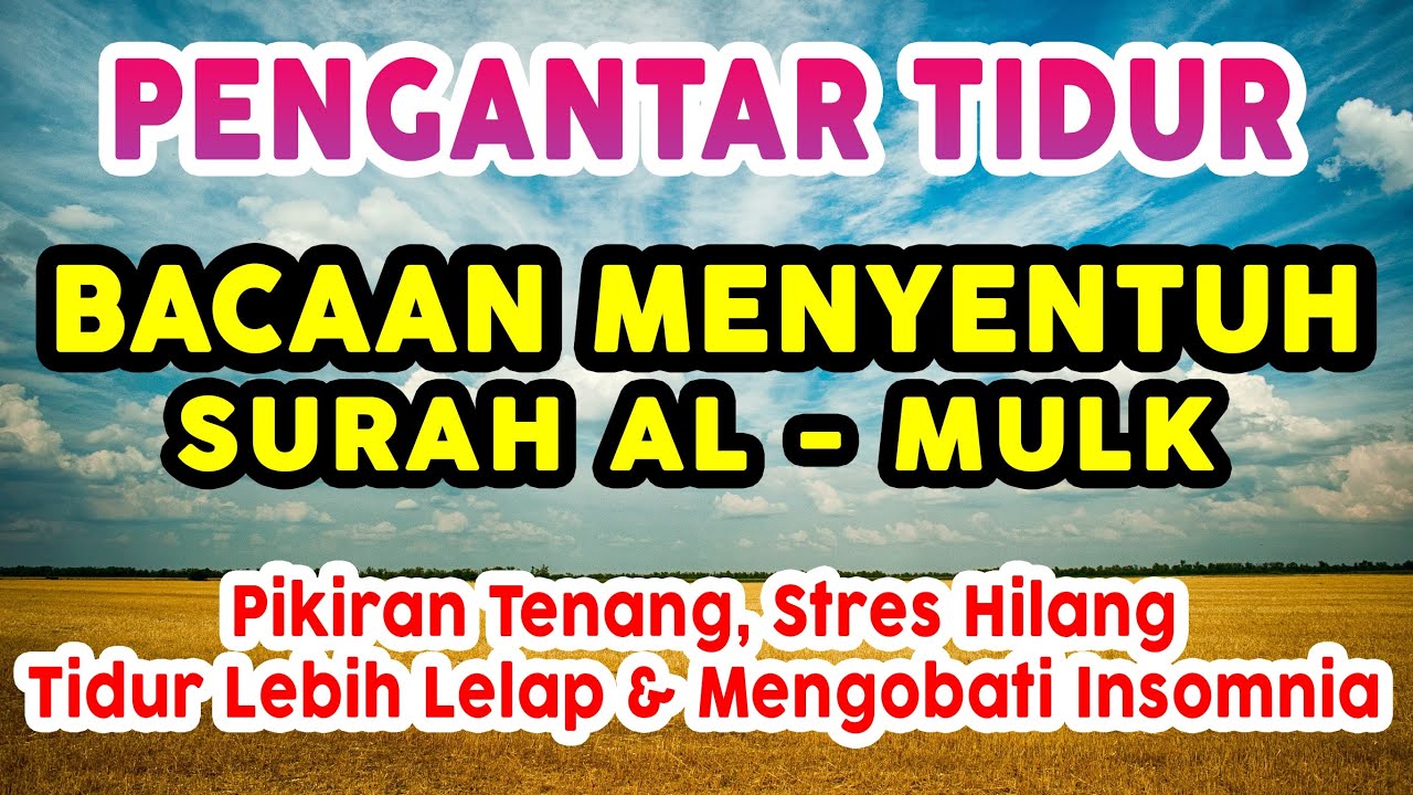 TIDUR LELAP DENGAN BACAAN MERDU AL - QURAN PENGANTAR TIDUR || TERAPI
