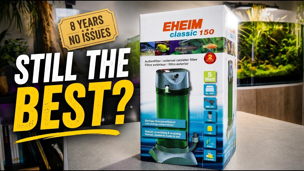 EHEIM Classic 150: Is This Still the Best Aquarium Filter After 40 Years?