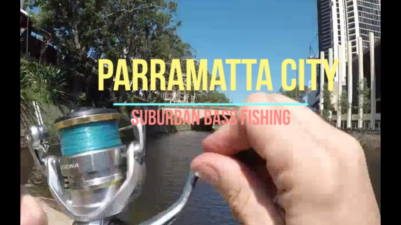 Parramatta City – Bass Fishing #bassfishing #sydneyfishing #suburbanfishing