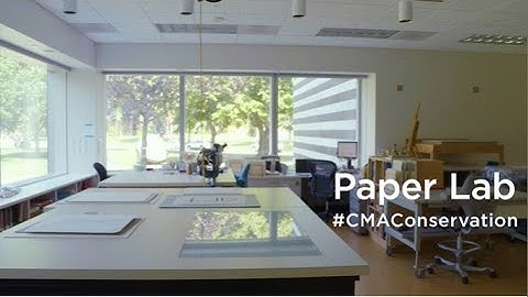 #CMAConservation: Paper Lab