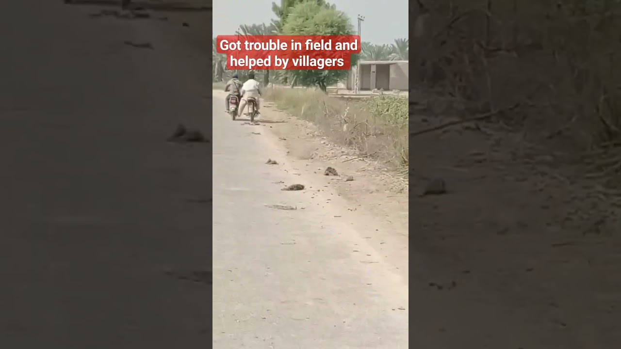 Got trouble in field and helped by villager 