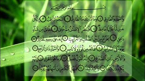 سورة الطارق ناصر القطامي