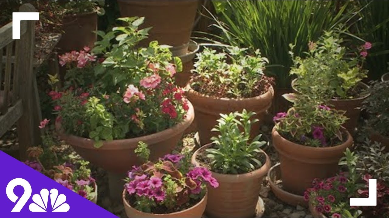 Proctor's Garden: All about pots - YouTube