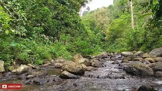 Calming Sound of Turquoise Mountain River. Nature Sounds, Flowing Water, White Noise for Sleeping.