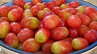 Grape Cure Mono Meal 🍇 | Raw Vegan Healing 🌱 | Raw for 60 Days (Read Description 👇🏽)