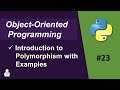 Polymorphism in python01  object oriented programming in python  what is polymorphism