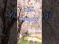Micro/Yukiyanagi #cover #歌ってみた #懐歌 #Def Tech#雪柳