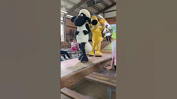 Shaun The Sheep Trending Youtubeshorts Travel Viral 
