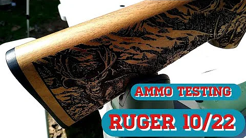 Ruger 10/22 ammo testing what does it shoot the best.