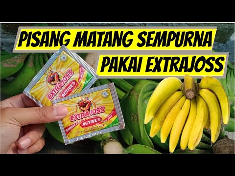 Video: Cara Menyejukkan Kek: 14 Langkah (dengan Gambar)