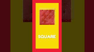 Learn the Shape Square | Fun Learning for Toddlers
