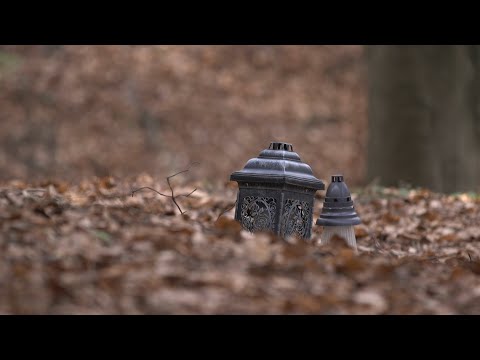"Podkarpacki Wołyń"