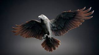 Crow fly  |  3D Sculpting