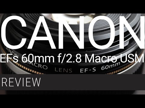 Review Canon EF-s 60mm f/2.8 Macro USM