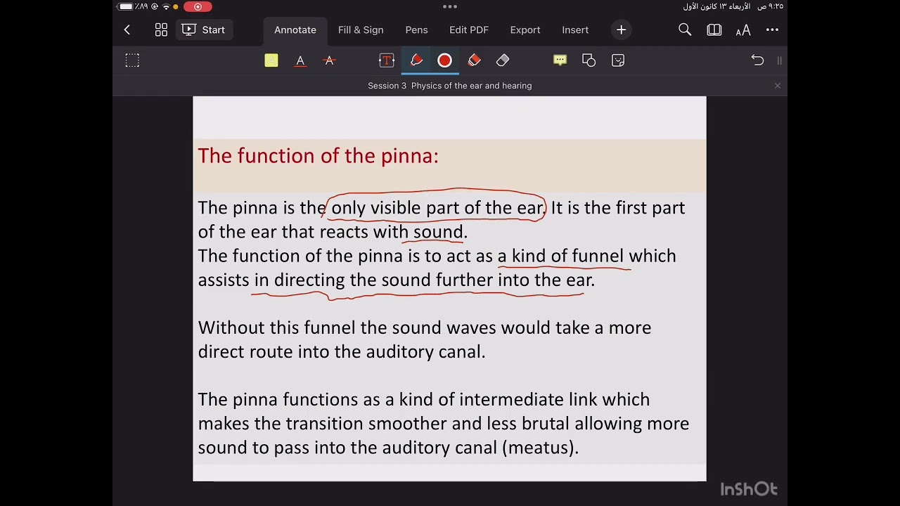 Physics of ear and hearing ‏طب ‏حمورابي المرحلة الأولى مادة الفيزياء الطبية