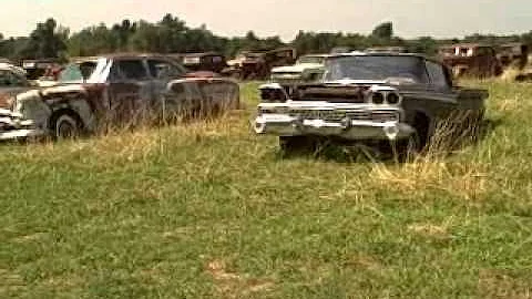 whitely auction.wmv