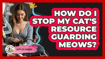 How Do I Stop My Cat