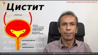 Воспаление мочевого пузыря. Цистит Воспаление мочевого пузыря. Цистит