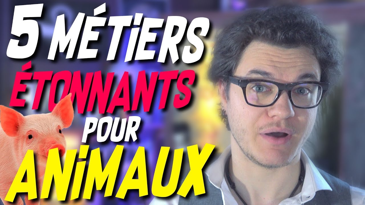 CHRIS : 5 Métiers Étonnants Uniquement Pour Les Animaux