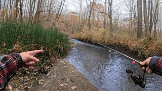 Catching Giant Fish Out Of A Tiny Creek!!! Until Things Went Wrong...