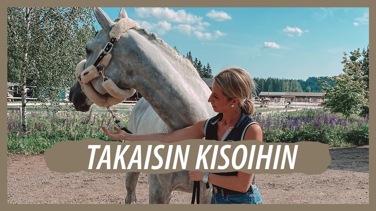 Hevosenhoitajana estekisoissa 🐴  || Mun juhannus