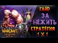 Универсальная стратегия против всех рас  \\  Warcraft 3 Reforged - Гайд за Нежить