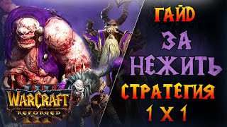 Универсальная стратегия против всех рас  \\  Warcraft 3 Reforged - Гайд за Нежить