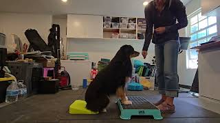 Year of Fitness - Porter - April week 3 - Rock Back Sit